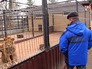 Центр реабилитации диких животных Центр реабилитации диких животных