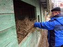 Центр реабилитации диких животных Центр реабилитации диких животных
