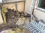 Последствия обстрела жилых кварталов Донбасса Последствия обстрела жилых кварталов Донбасса