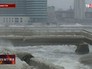 Ураганный ветер в Приморье Ураганный ветер в Приморье