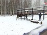 Лосиноостровская биостанция Лосиноостровская биостанция