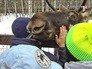 Посетители Лосиноостровской биостанции Посетители Лосиноостровской биостанции