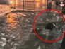 Падение лепнины балкона на женщину Падение лепнины балкона на женщину