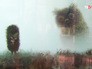 Экспонаты выставки советской анимации Экспонаты выставки советской анимации