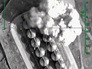 Результаты авиаударов ВКС России по объектам хранения нефти Результаты авиаударов ВКС России по объектам хранения нефти