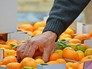 Мандарины Мандарины