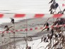 Оцепление у полыньи, где утонул рыбак Оцепление у полыньи, где утонул рыбак