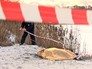 Оцепление у полыньи, где утонул рыбак Оцепление у полыньи, где утонул рыбак