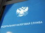 Федеральная налоговая служба (ФНС) Федеральная налоговая служба (ФНС)