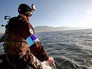 Пограничная служба Евросоюза Пограничная служба Евросоюза