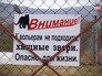 Объявление на вольере с тиграми Объявление на вольере с тиграми