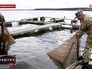 Разведение сибирского осетра в Новгородской области Разведение сибирского осетра в Новгородской области