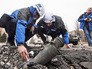 Наблюдатели ОБСЕ на месте обстрела в Донбассе Наблюдатели ОБСЕ на месте обстрела в Донбассе