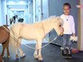 Посетители цирка на проспекте Вернадского Посетители цирка на проспекте Вернадского
