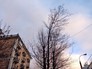 Ветреная погода Ветреная погода