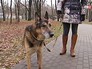 Выгул собак Выгул собак
