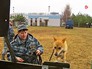 Тренировка служебных собак Тренировка служебных собак