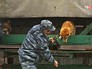 Тренировка служебных собак Тренировка служебных собак