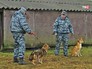 Тренировка служебных собак Тренировка служебных собак