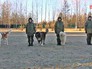 Кинологический центр Российской армии Кинологический центр Российской армии