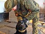 Кинологический центр Российской армии Кинологический центр Российской армии