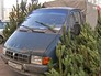 Нелегальный ёлочный базар Нелегальный ёлочный базар