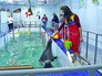 Дрессировщики занимаются тренировкой терп Дрессировщики занимаются тренировкой терп