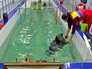 Дрессировщики занимаются тренировкой терп Дрессировщики занимаются тренировкой терп