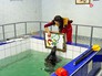 Нерпа рисует картины в бассейне Нерпа рисует картины в бассейне