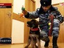 Щенок Добрыня, переданный в дар французской полиции Щенок Добрыня, переданный в дар французской полиции