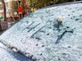 Первый снег Первый снег