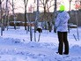 Жители города фотографируют дикого кабана Жители города фотографируют дикого кабана
