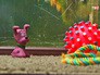 Игрушки для собак Игрушки для собак
