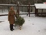 Утилизация новогодних елок Утилизация новогодних елок