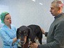 Ветеринарная клиника Ветеринарная клиника