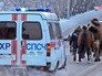 Сотрудники МЧС Красноярска спасают верблюдов Сотрудники МЧС Красноярска спасают верблюдов