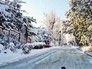 Снегопад в Сочи Снегопад в Сочи