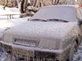 Последствия ледяного дождя Последствия ледяного дождя