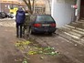 Цветы на месте гибели выброшенного из окна ребенка в Мытищах Цветы на месте гибели выброшенного из окна ребенка в Мытищах