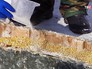 Подкормка диких животных в заповеднике Подкормка диких животных в заповеднике