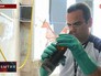 Лихорадка Зика в Бразилии Лихорадка Зика в Бразилии