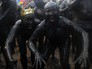 Фестиваль грязи в Бразилии Фестиваль грязи в Бразилии