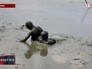Фестиваль грязи в Бразилии Фестиваль грязи в Бразилии
