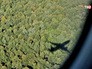 Тень от летящего самолета Тень от летящего самолета