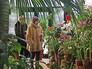 Оранжерея в Аптекарском огороде Оранжерея в Аптекарском огороде