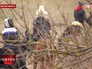 Участники конно-спортивного клуба во время марш-броска Участники конно-спортивного клуба во время марш-броска
