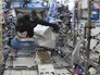 На борту МКС разыгрывают побег от гориллы На борту МКС разыгрывают побег от гориллы