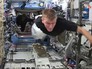 На борту МКС разыгрывают побег от гориллы На борту МКС разыгрывают побег от гориллы