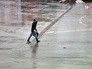 Последствия циклона Последствия циклона