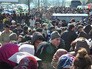 Мигранты в Европе Мигранты в Европе
